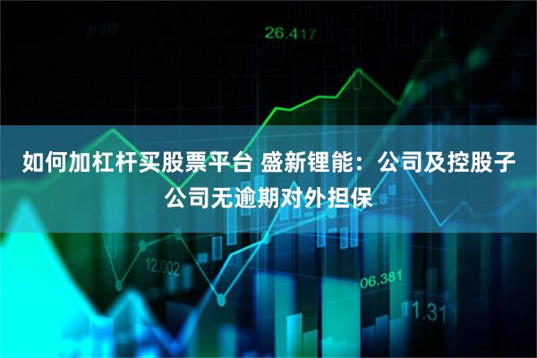 如何加杠杆买股票平台 盛新锂能：公司及控股子公司无逾期对外担保