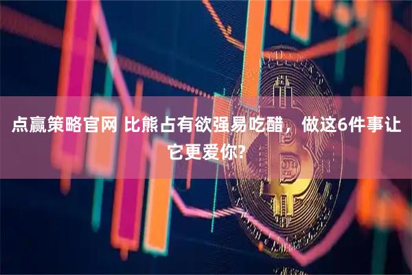 点赢策略官网 比熊占有欲强易吃醋，做这6件事让它更爱你?
