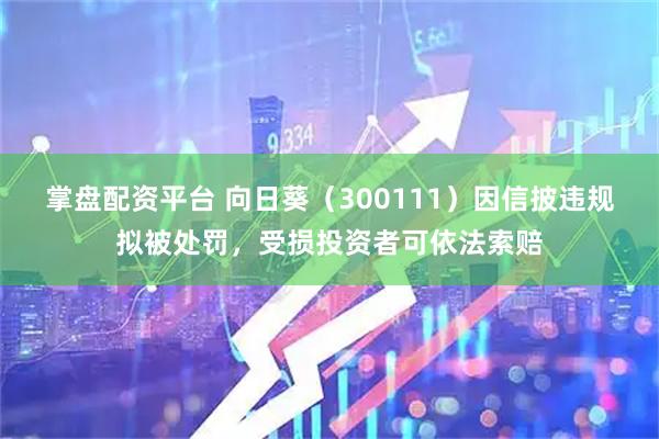 掌盘配资平台 向日葵（300111）因信披违规拟被处罚，受损投资者可依法索赔
