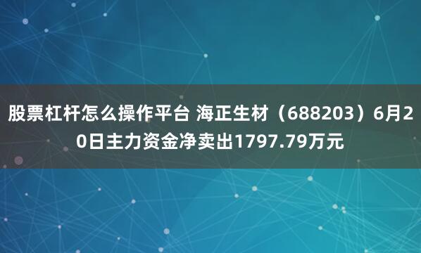股票杠杆怎么操作平台 海正生材(688203)6月20日主力资金净卖出1797.79万元